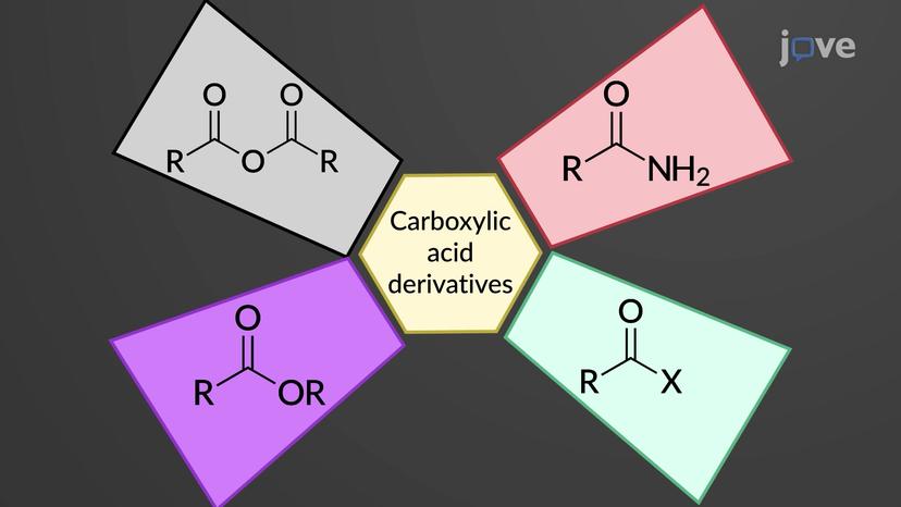 Carboxylic Acid Derivatives: Overview