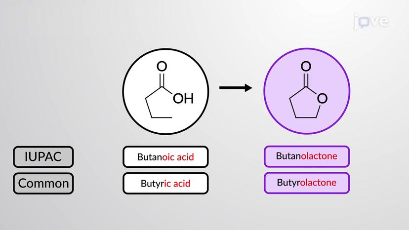 Nomenclature of Carboxylic Acid Derivatives: Acid Halides, Esters, and Acid Anhydrides