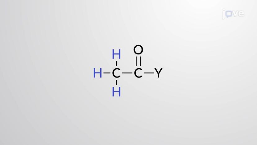 Acidity and Basicity of Carboxylic Acid Derivatives