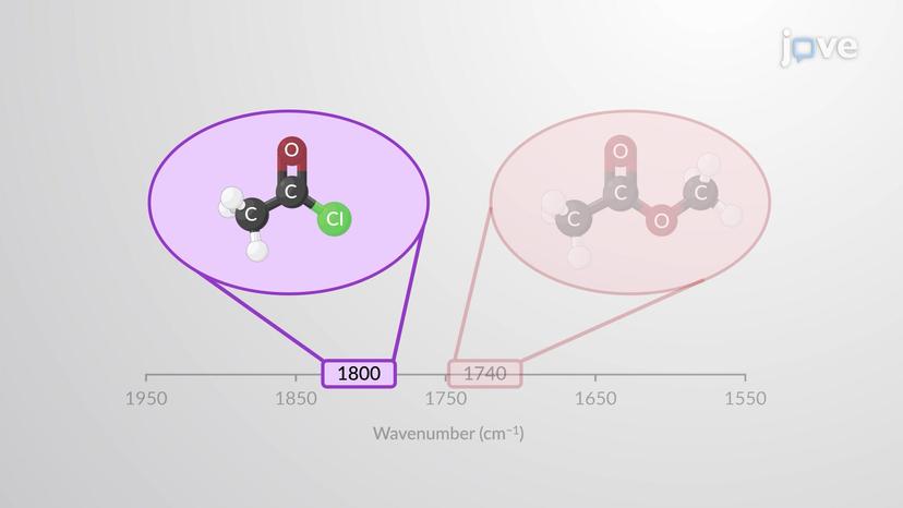 Spectroscopy of Carboxylic Acid Derivatives