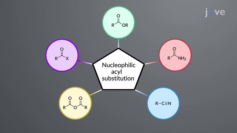 Nucleophilic Acyl Substitution of Carboxylic Acid Derivatives