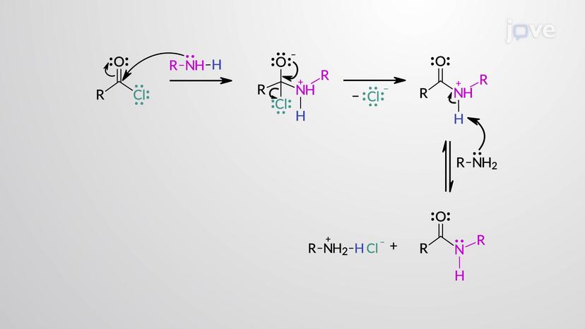 Acid Halides to Amides: Aminolysis