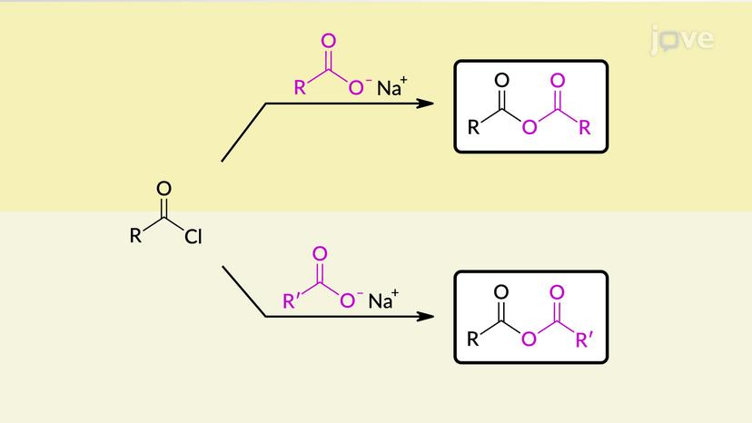 Preparation of Acid Anhydrides