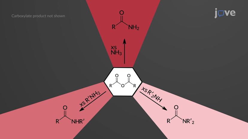 Reactions of Acid Anhydrides