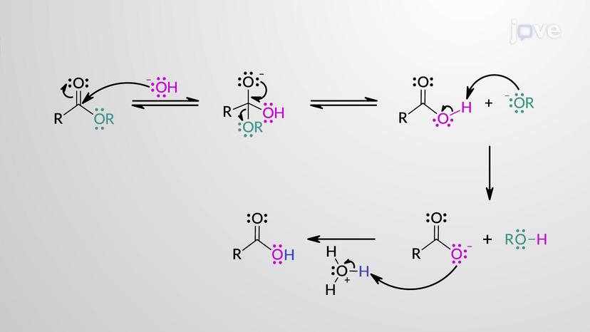 Esters to Carboxylic Acids: Saponification