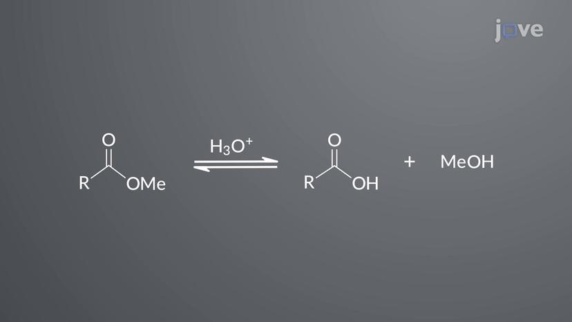 Esters to Carboxylic Acids: Acid-Catalyzed Hydrolysis