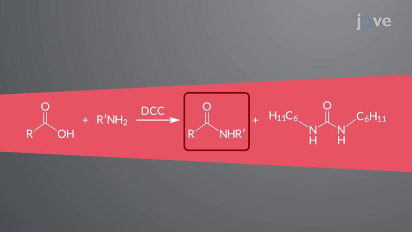 Preparation of Amides