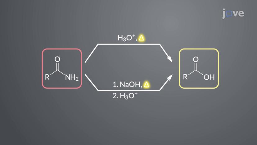 Amides to Carboxylic Acids: Hydrolysis