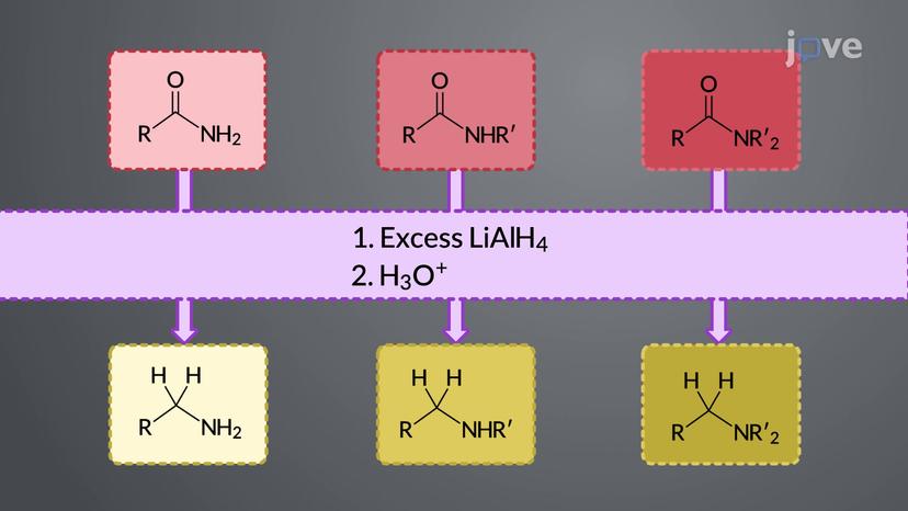 Amides to Amines: LiAlH<sub>4</sub> Reduction