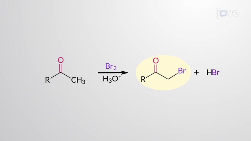 Acid-Catalyzed &alpha;-Halogenation of Aldehydes and Ketones