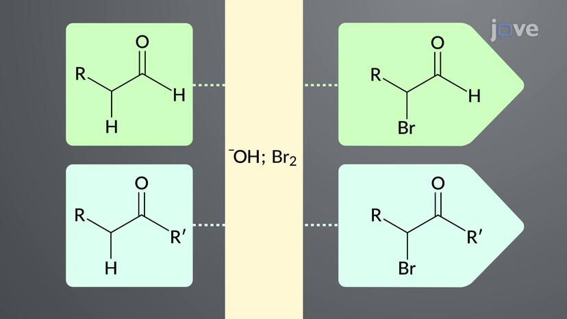 Base-Promoted &alpha;-Halogenation of Aldehydes and Ketones