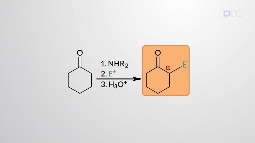 Synthesis of &alpha;-Substituted Carbonyl Compounds: The Stork Enamine Reaction