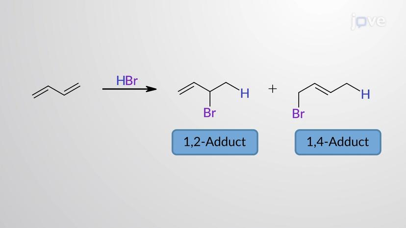 Electrophilic 1,2- and 1,4-Addition of HX to 1,3-Butadiene