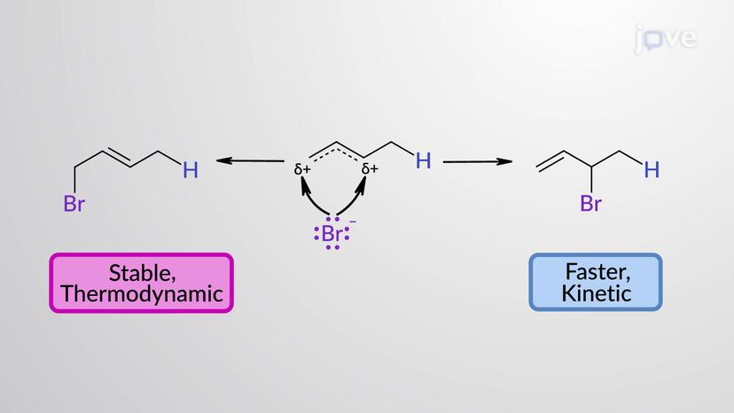 Electrophilic Addition of HX to 1,3-Butadiene: Thermodynamic vs Kinetic Control