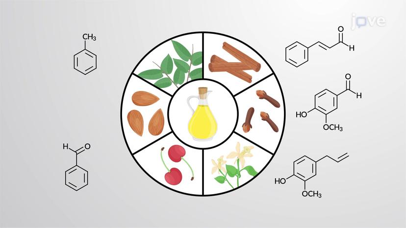 Aromatic Compounds: Overview