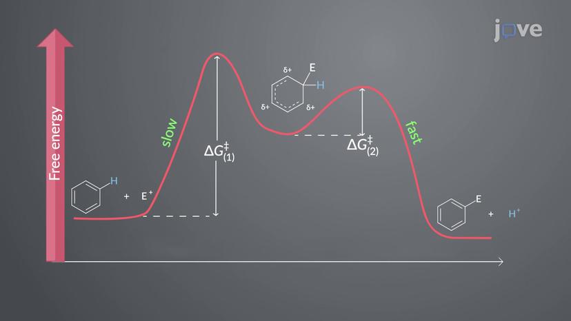 Electrophilic Aromatic Substitution: Overview