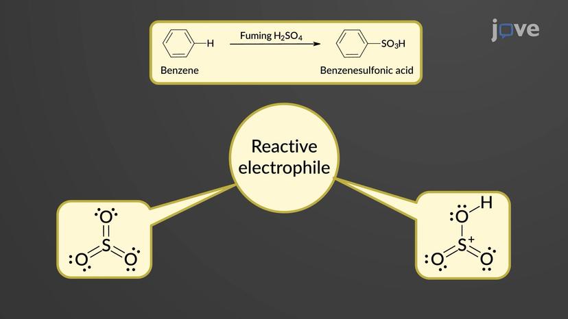 Electrophilic Aromatic Substitution: Sulfonation of Benzene