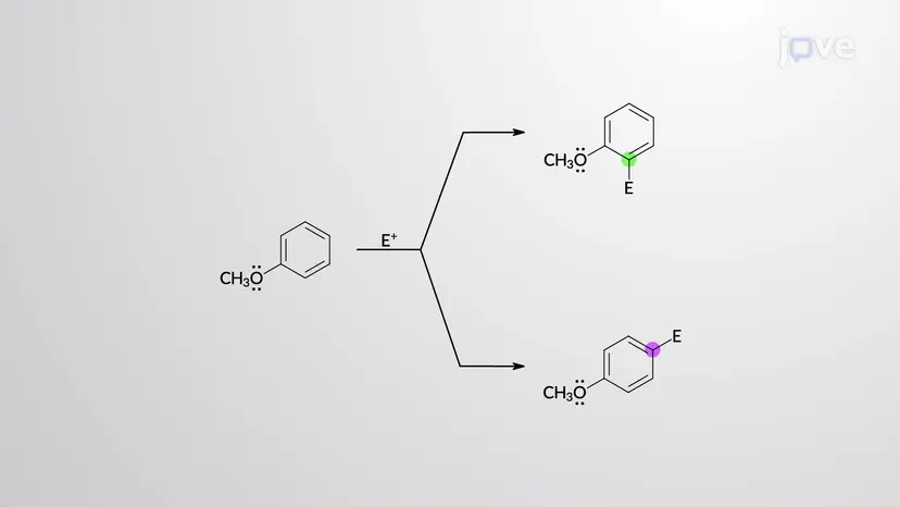 ortho-para-dirigierende Aktivatoren: -CH3, -OH, -NH2, -OCH3