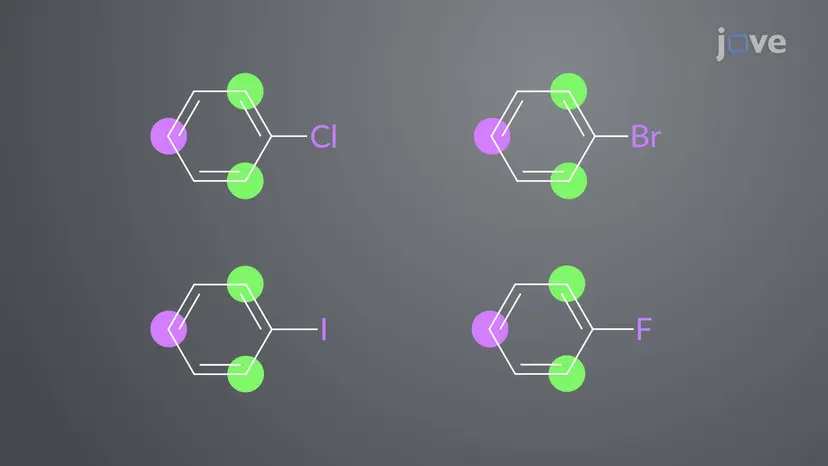 <em>ortho</em>–<em>para-Directing</em> Deaktivatoren: Halogene
