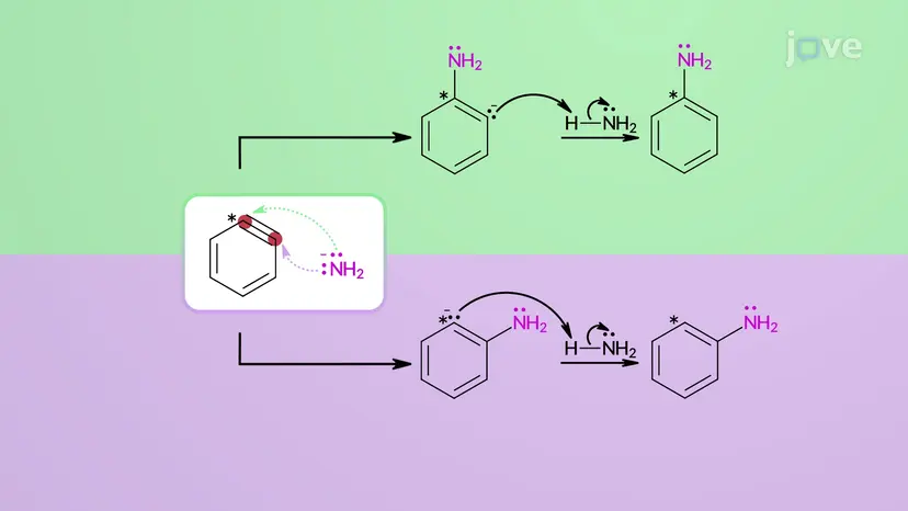 Nukleophile aromatische Substitution: Eliminierung-Addition