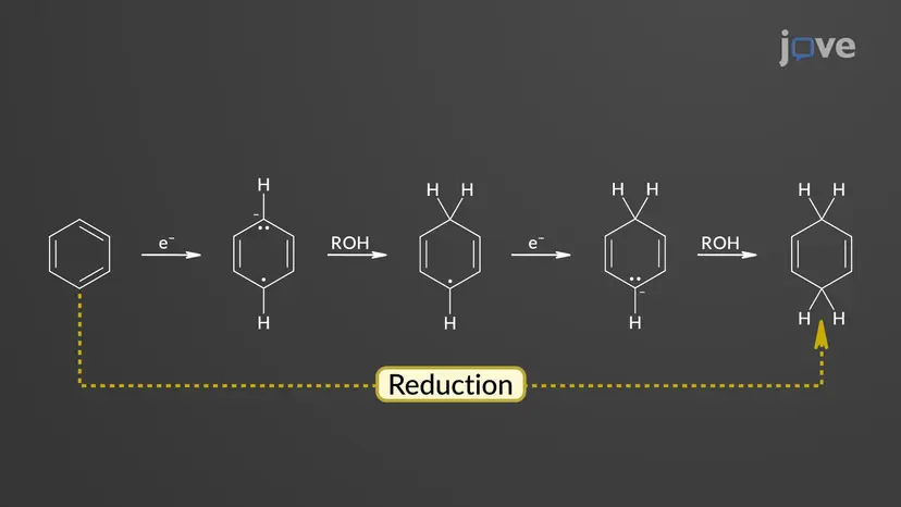 Benzene to 1,4-Cyclohexadiene: Birch Reduction Mechanism