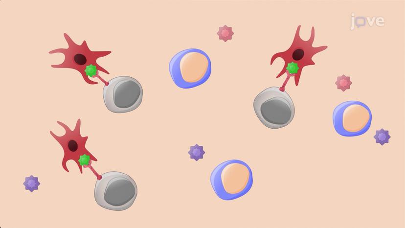 Regulation of Hematopoietic Stem Cells