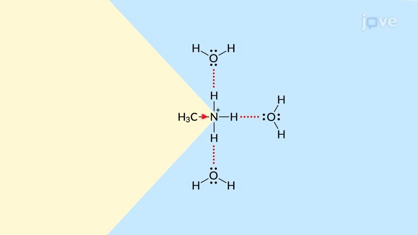 Basicity of Aliphatic Amines