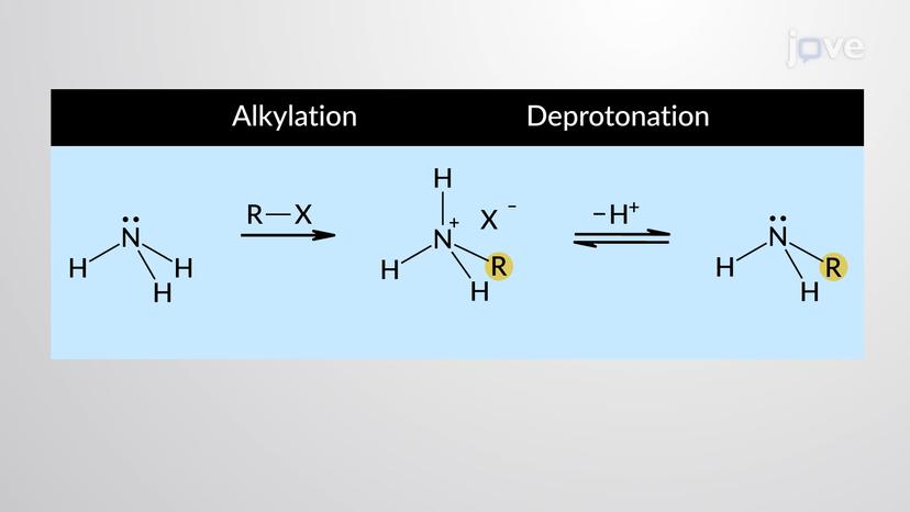 Preparation of Amines: Alkylation of Ammonia and Amines