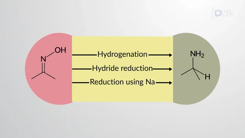 Herstellung von Aminen: Reduktion von Oximen und Nitroverbindungen