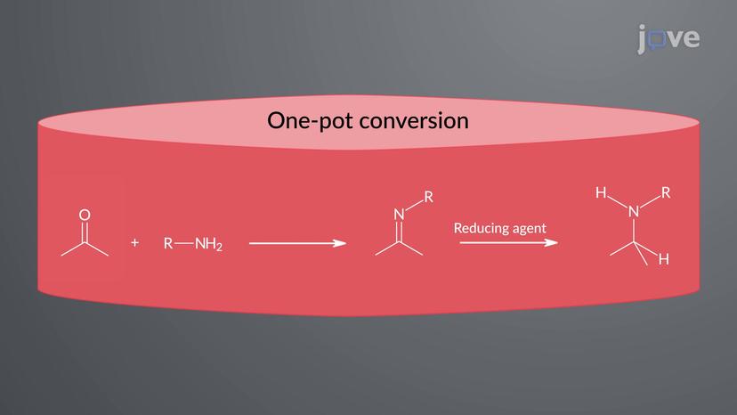 Preparation of Amines: Reductive Amination of Aldehydes and Ketones