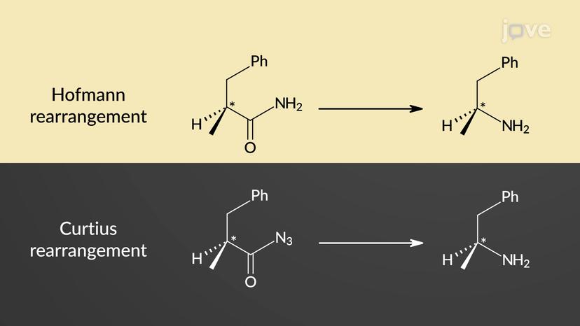 Preparation of 1&deg; Amines: Hofmann and Curtius Rearrangement Overview