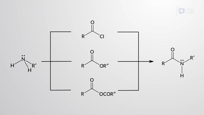 Amines to Amides: Acylation of Amines