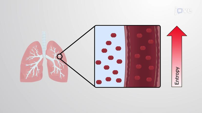 Entropy within the Cell