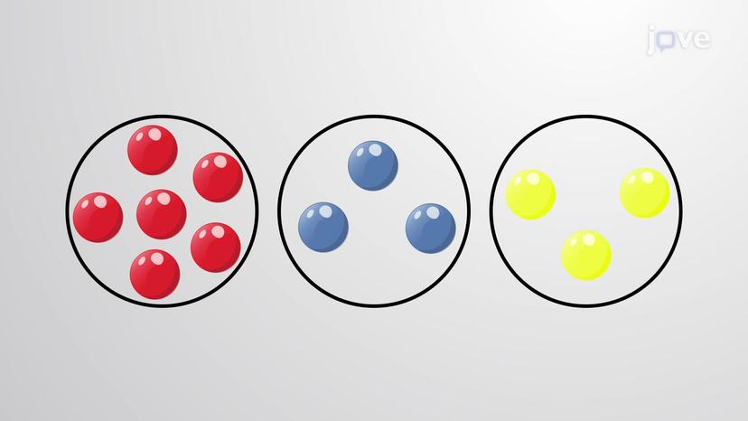 Stratified Sampling Method