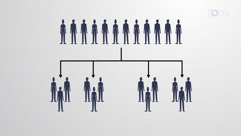 Cluster Sampling Method