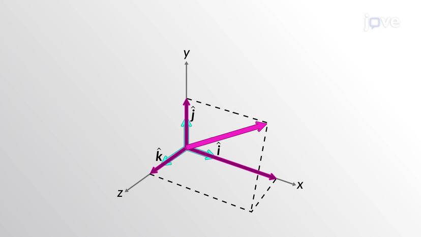 Vector Components in the Cartesian Coordinate System