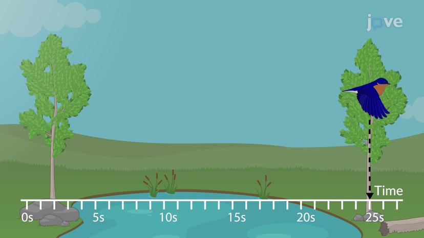 Instantaneous Velocity - I