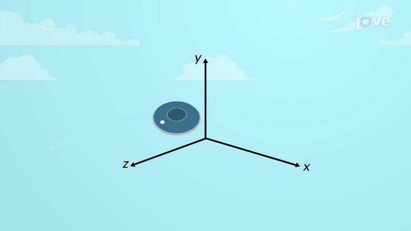 Average and Instantaneous Velocity Vectors