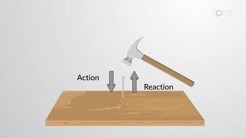 Newton's Third Law: Examples