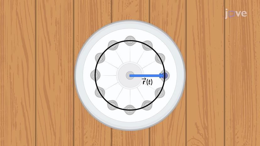 Dynamics of Circular Motion