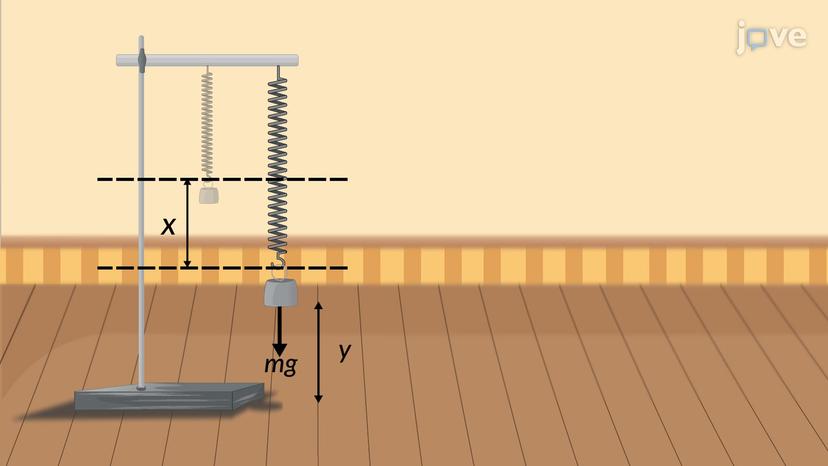 Elastic Potential Energy