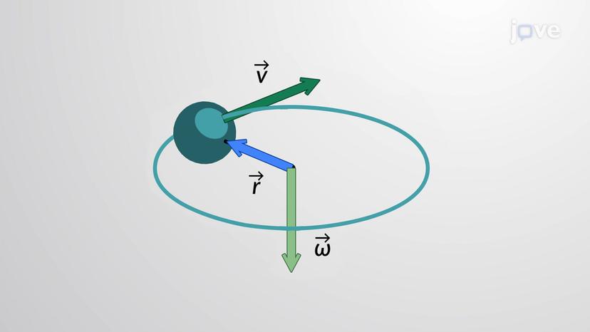 Relating Angular And Linear Quantities - I