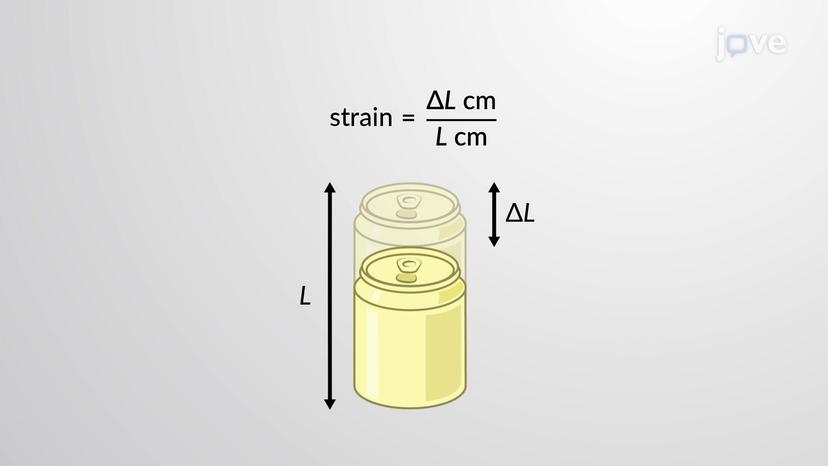 Strain and Elastic Modulus