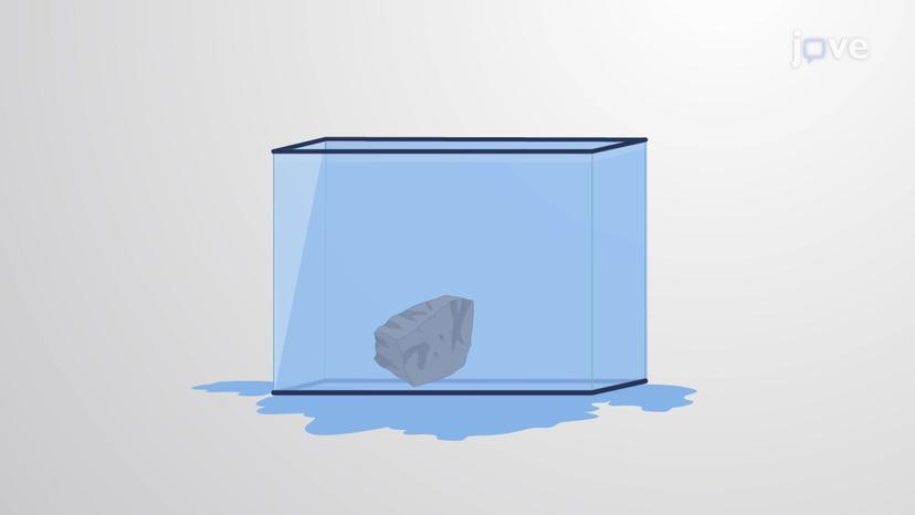 Archimedes' Principle