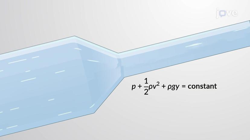 Bernoulli's Equation