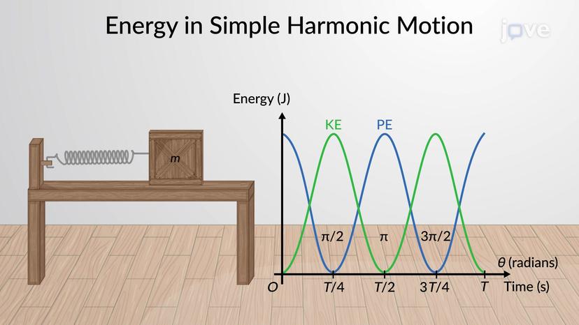 Energy in Simple Harmonic Motion