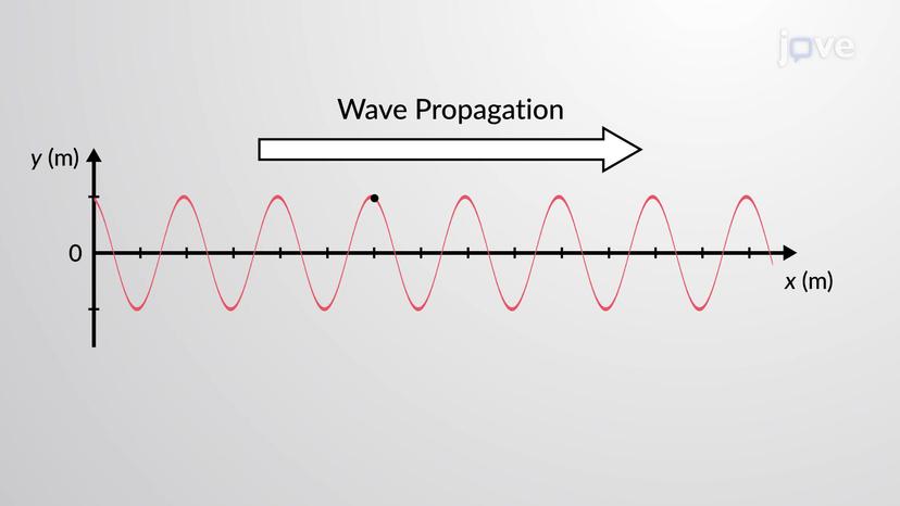 Equations of Wave Motion