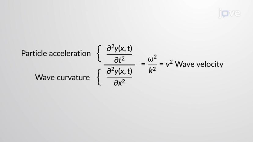 Velocity and Acceleration of a Wave