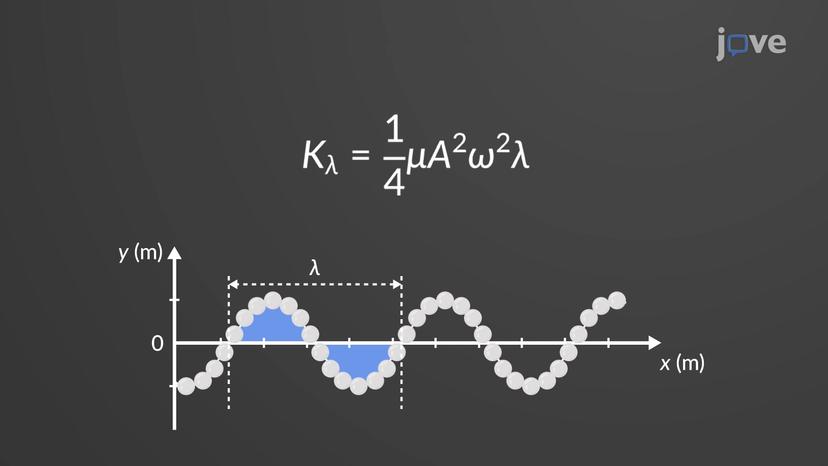 Kinetic and Potential Energy of a Wave