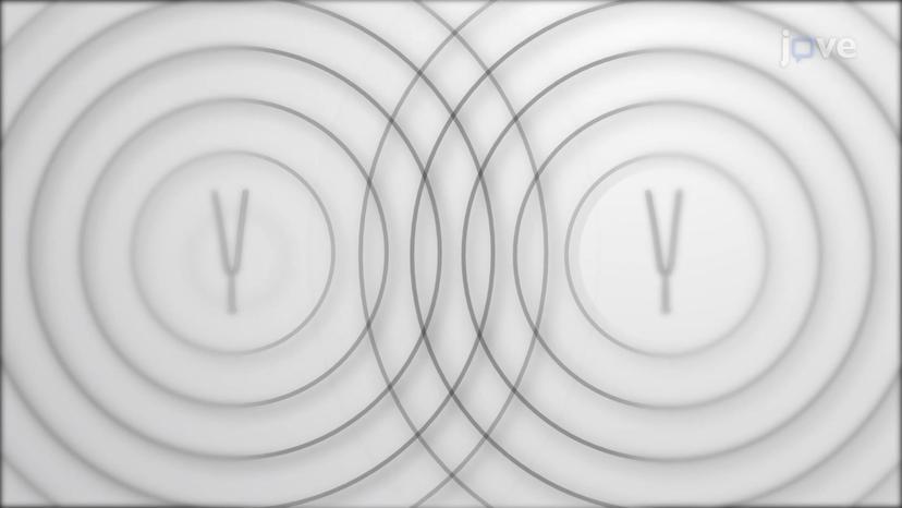 Interference and Superposition of Waves